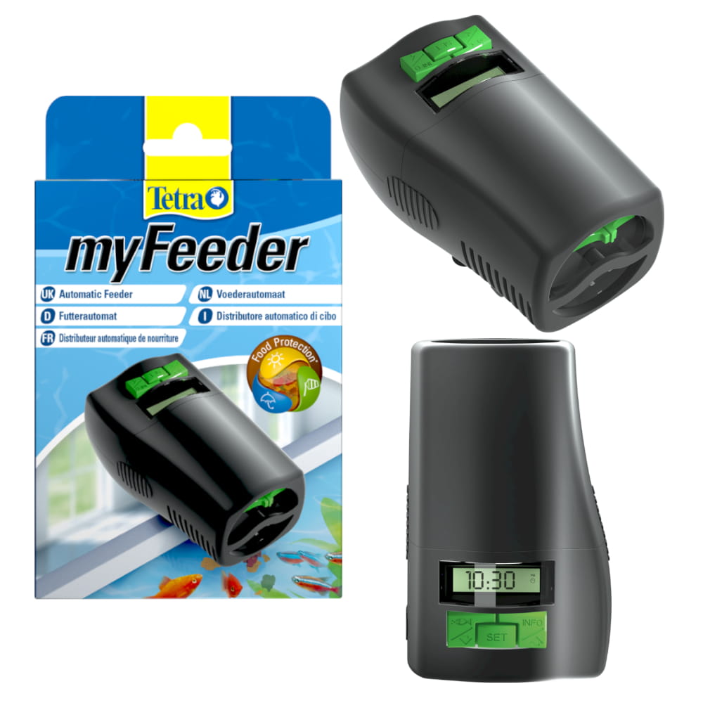 my feeder5.jpg